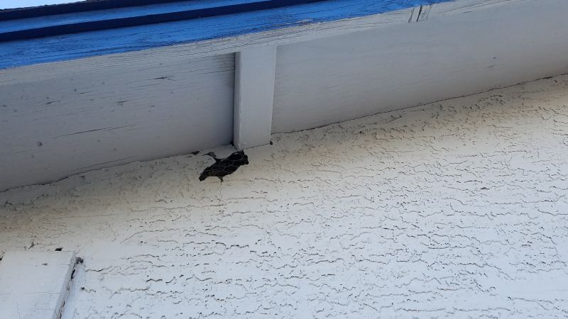 Commercial Stucco Repair